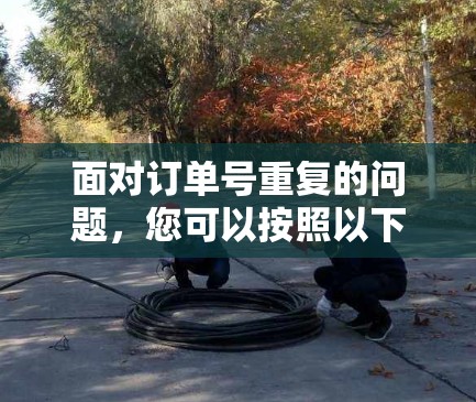 面对订单号重复的问题，您可以按照以下步骤进行处理