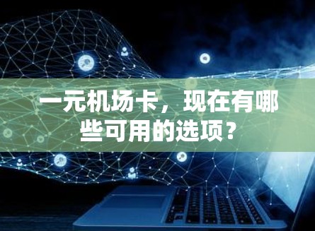 一元机场卡,现在有哪些可用的选项? 一元机场卡,现在有哪些可用的选项?