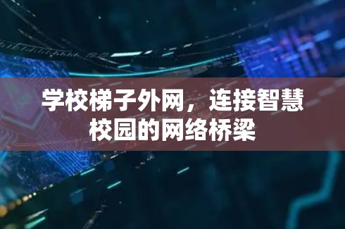 学校梯子外网,连接智慧校园的网络桥梁 学校梯子外网,连接智慧校园的网络桥梁