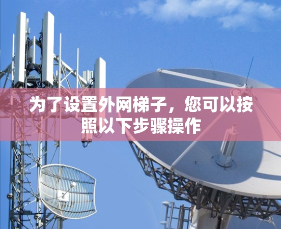 为了设置外网梯子，您可以按照以下步骤操作