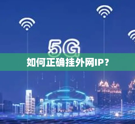如何正确挂外网IP？