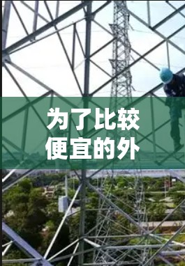 为了比较便宜的外网梯子，我们可以参考以下步骤