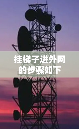 挂梯子进外网的步骤如下