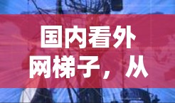 国内看外网梯子，从早期网络到现代发展的变革