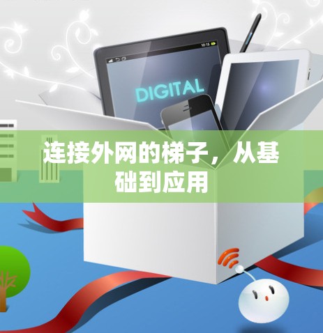 连接外网的梯子,从基础到应用 连接外网的梯子,从基础到应用