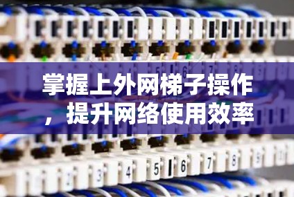 掌握上外网梯子操作，提升网络使用效率