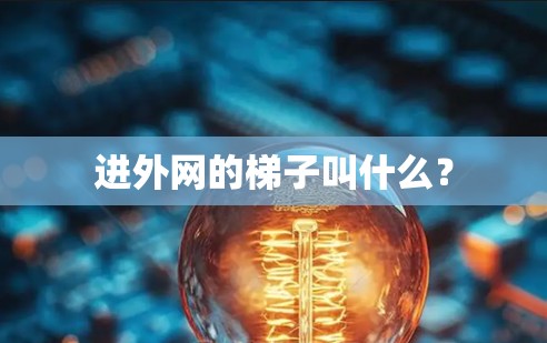 进外网的梯子叫什么? 进外网的梯子叫什么?