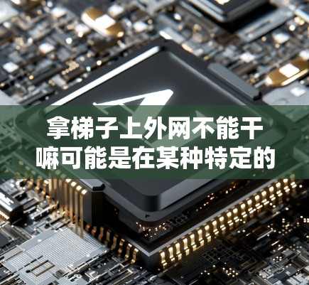 拿梯子上外网不能干嘛可能是在某种特定的场景或表达下被指代的。为了更好地理解，我们可以从以下几个方面进行分析