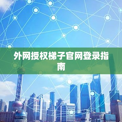 外网授权梯子官网登录指南