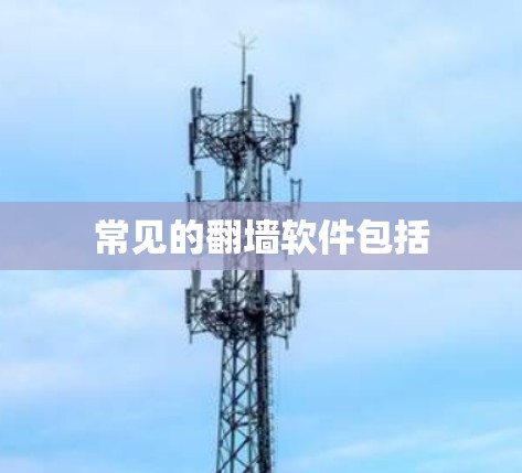 常见的翻墙软件包括