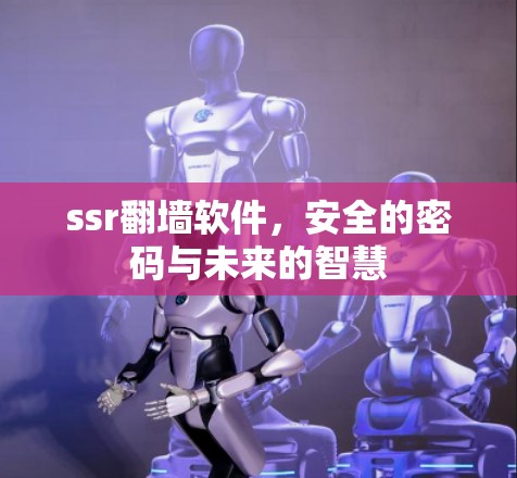 ssr翻墙软件，安全的密码与未来的智慧