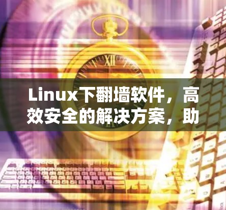 Linux下翻墙软件，高效安全的解决方案，助力网络安全与数据安全