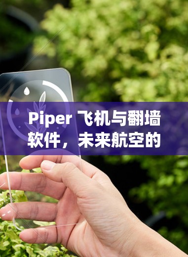 Piper 飞机与翻墙软件，未来航空的双刃剑
