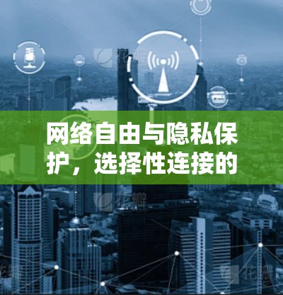 网络自由与隐私保护,选择性连接的网络选择 网络自由与隐私保护,选择性连接的网络选择