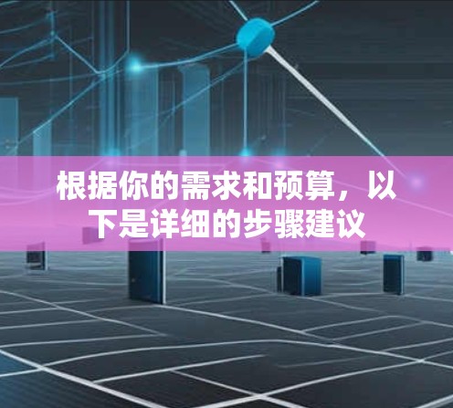 根据你的需求和预算，以下是详细的步骤建议
