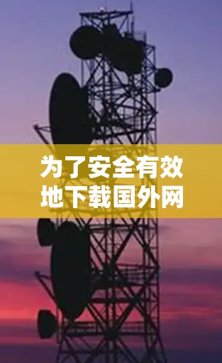 为了安全有效地下载国外网络版VPN软件，以下是分步指南