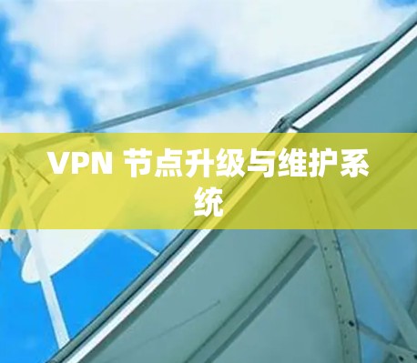 VPN 节点升级与维护系统