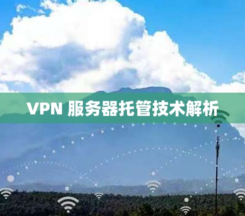 VPN 服务器托管技术解析