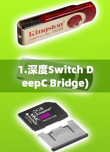 1.深度Switch DeepC Bridge) 1.深度Switch DeepC Bridge)