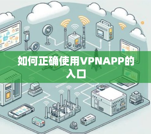 如何正确使用VPNAPP的入口