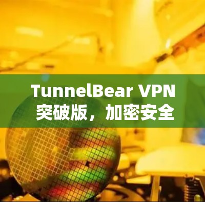 TunnelBear VPN 突破版，加密安全，轻松应对互联网挑战