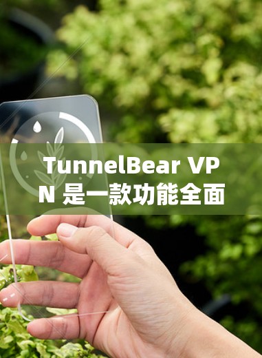 TunnelBear VPN 是一款功能全面的VPN服务，适合需要高数据传输和安全配置的用户。以下是一个详细的使用指南