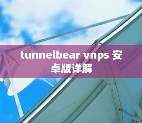 tunnelbear vnps 安卓版详解