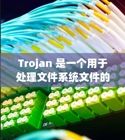 Trojan 是一个用于处理文件系统文件的工具，常用于文件恢复、分割和合并等操作。以下是使用Trojan的步骤