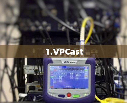 1.VPCast
