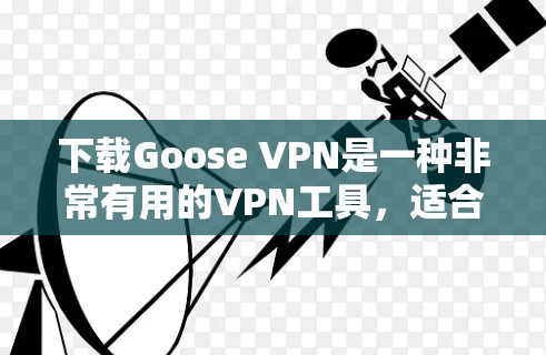 下载Goose VPN是一种非常有用的VPN工具，适合远程访问和保护数据。下面是详细的操作指南