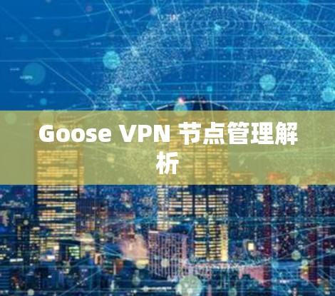 Goose VPN 节点管理解析